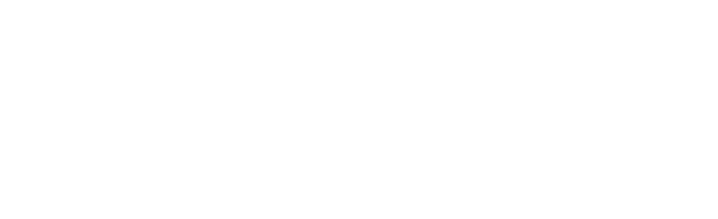 LEVO HANDLING